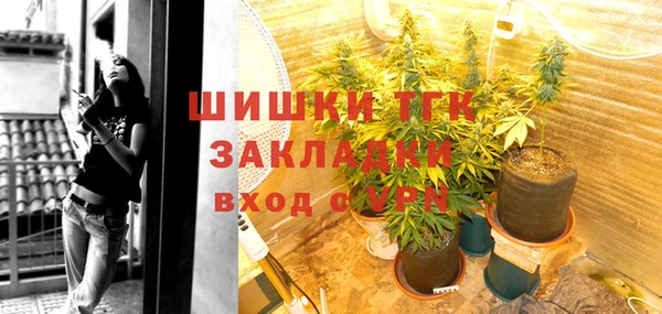 экстази Няндома